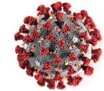 Illustrasjonsfoto koronavirus - Klikk for stort bilete